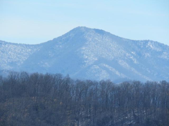 Serenity Views Comfort - Close To City & Parkway! Weaverville Extérieur photo