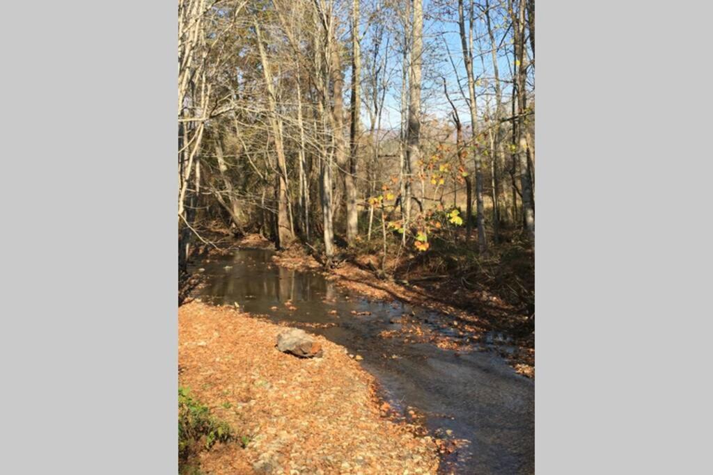 Serenity Views Comfort - Close To City & Parkway! Weaverville Extérieur photo